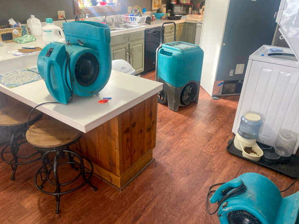 Best Flood damage cleanup  in Tumter, WA