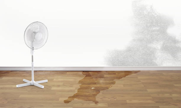 Best Professional water damage repair  in Tumter, WA