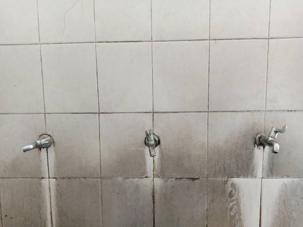 Best Ceiling water damage repair  in Tumter, WA