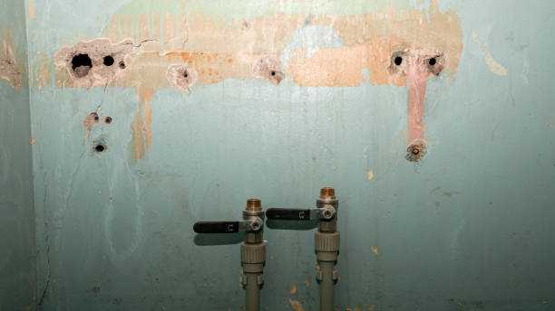 Best Carpet water damage restoration  in Tumter, WA