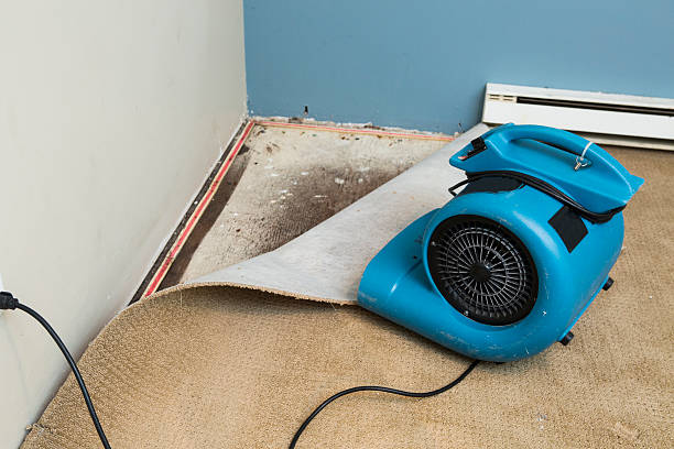 Best 24/7 water damage repair  in Tumter, WA
